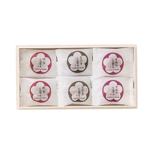 Premium 紀州南高梅 6粒 木箱入り