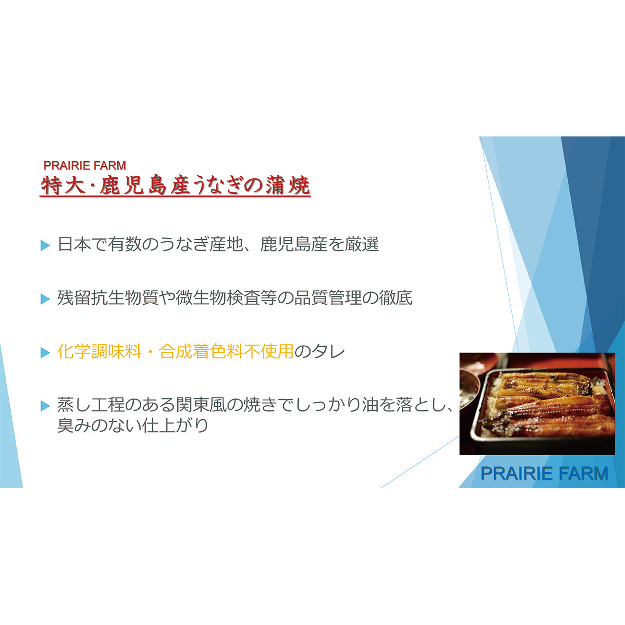 特大 鹿児島県産うなぎ蒲焼セット（永谷園お吸い物付）