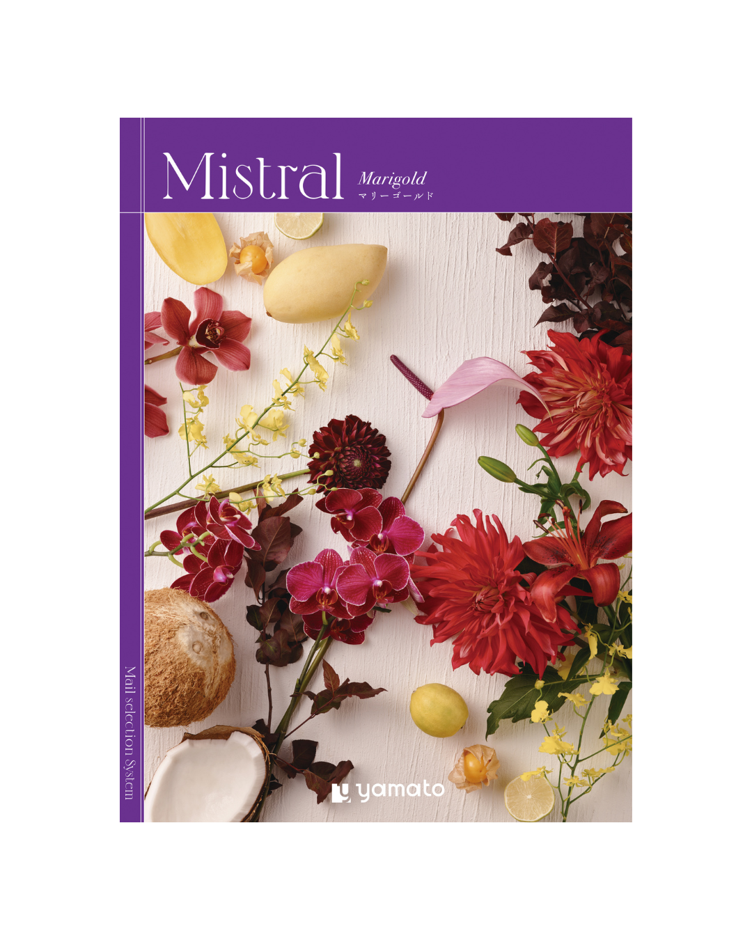 "Ｍｉｓｔｒａｌ -ミストラル-"マリーゴールド