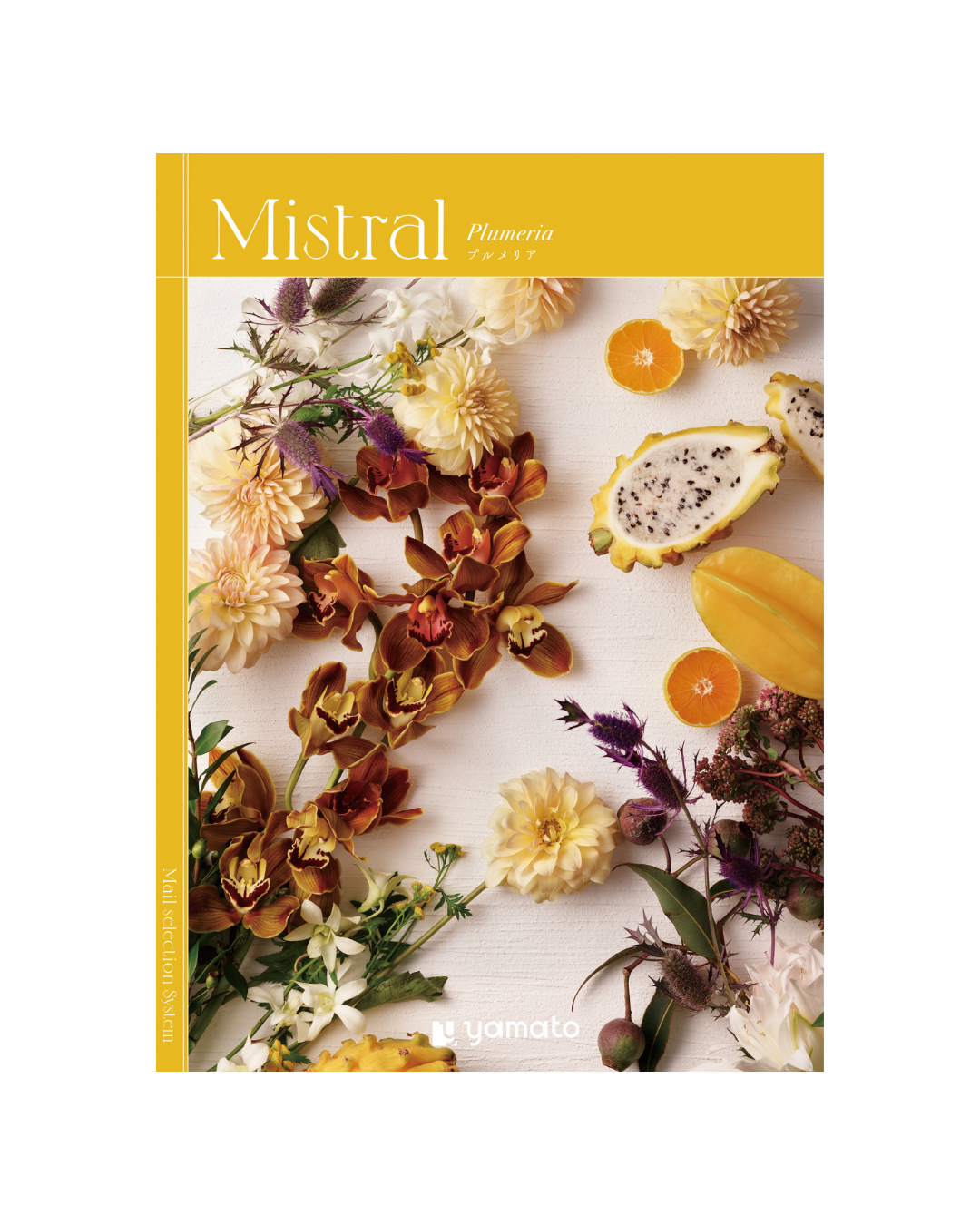 "Ｍｉｓｔｒａｌ -ミストラル-"プルメリア