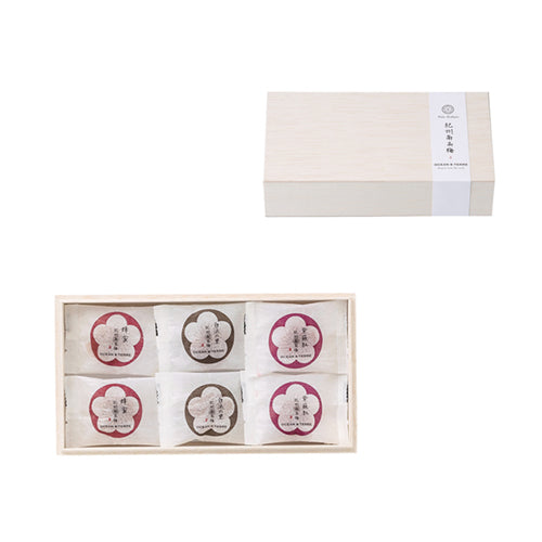 Premium 紀州南高梅 6粒 木箱入り
